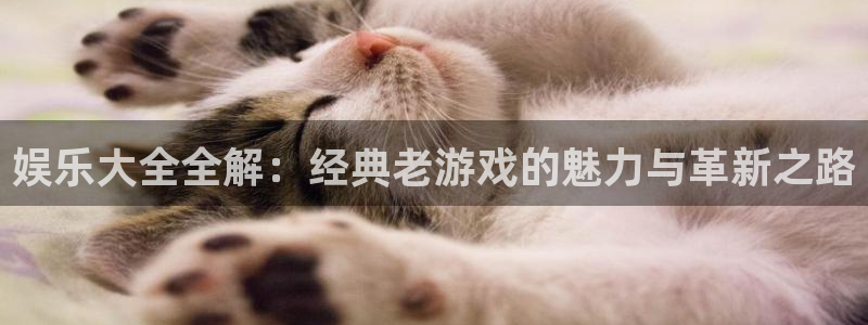 琳琅娱乐注册
