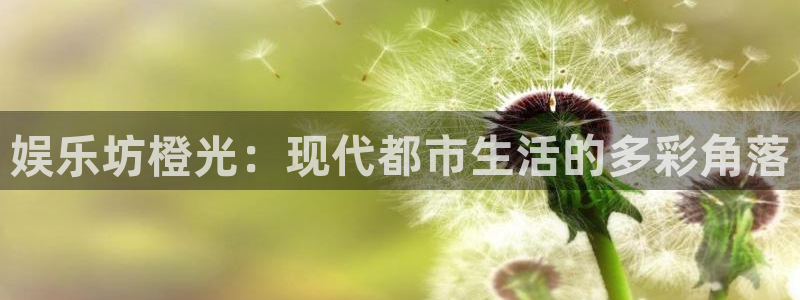 琳琅娱乐注册