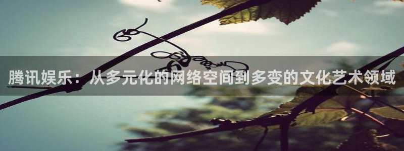 琳琅娱乐注册