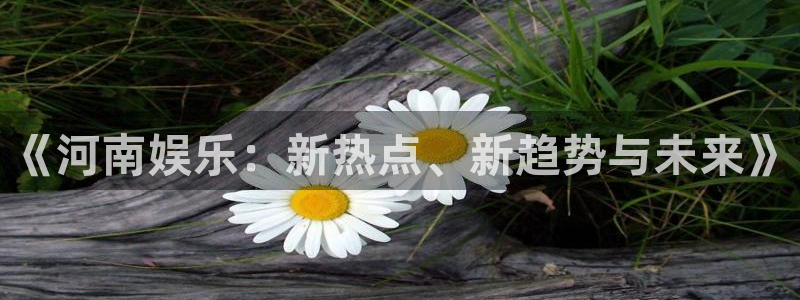 琳琅娱乐注册