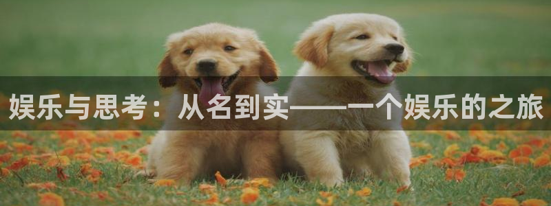 琳琅娱乐