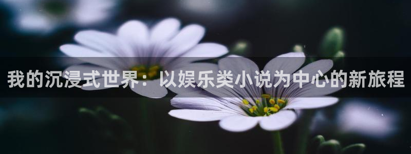 琳琅娱乐