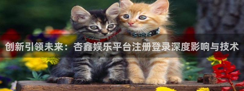 琳琅娱乐